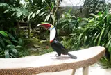 松江フォーゲルパーク