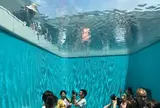 金沢21世紀美術館