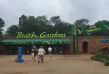 ブッシュ・ガーデンズ・ウィリアムズバーング