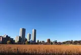 不忍池