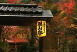 七味温泉 渓山亭でたぬきに会う