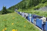 横手山スカイレーターとスカイペアリフト
