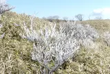 箱根・駒ケ岳ロープウェー