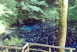 白神山地