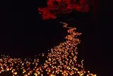 竹田市の竹楽