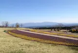 くじゅう花公園