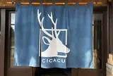 旅館cicacu
