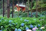 三室戸寺