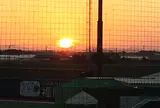 HAWKSベースボールパーク筑後