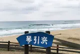 琴引浜