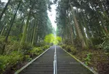 御坂遊歩道日本一石段