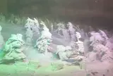 地蔵山頂駅・蔵王ロープウェイ／山頂線