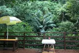 Cafe ichara