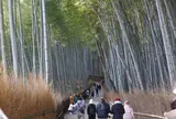 嵐山
