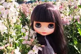 白間津花畑