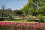 万博記念公園