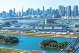 東京都中央卸売市場築地市場