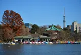 上野恩賜公園