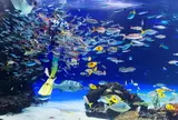 サンシャイン水族館