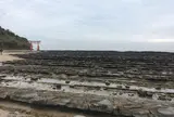 青島神社