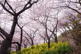 松田山ハーブガーデン