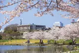 千波湖