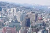 アエル展望台