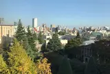 青山学院大学 青山キャンパス