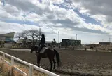 一の宮乗馬センター