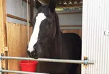 琴弾荘