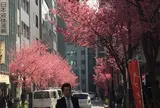 コレド室町