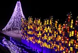 水郷桜イルミネーション