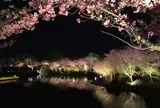 なばなの里