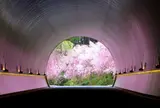 MIHO MUSEUM
