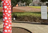国立新美術館