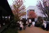 代官山 蔦屋書店(TSUTAYA)