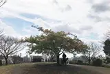 西郷山公園