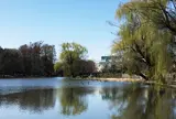 石神井公園