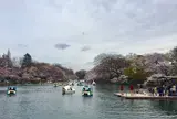 井の頭自然文化園