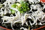 葉山餃子と岩のりしらす丼 葉山港湾食堂