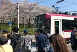 飛鳥山公園