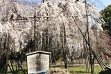 真間山弘法寺