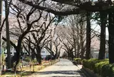 市川市 スポーツセンター