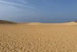 鳥取砂丘