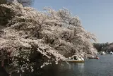 井の頭恩賜公園