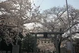 埼玉狭山市広瀬神社