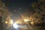 県営狭山稲荷山公園