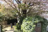 手づくりパンの店 櫻蔵