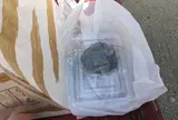 筒井 松月
