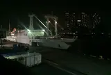 さるびあ丸